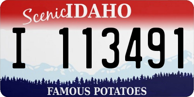 ID license plate I113491