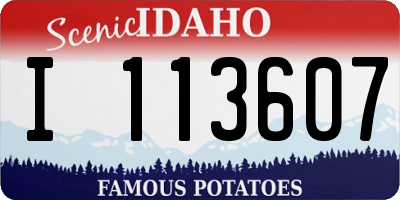 ID license plate I113607