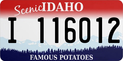 ID license plate I116012