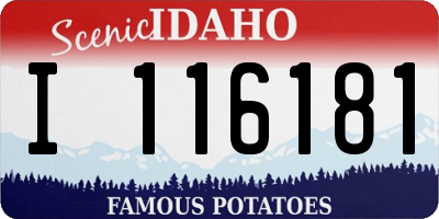ID license plate I116181