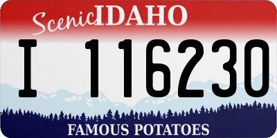 ID license plate I116230