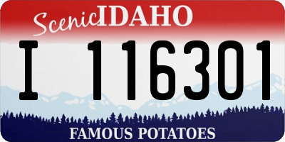 ID license plate I116301