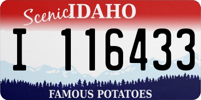 ID license plate I116433