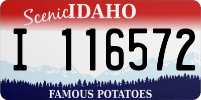 ID license plate I116572