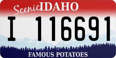 ID license plate I116691