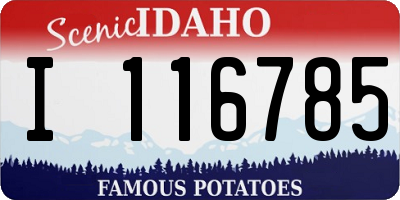 ID license plate I116785
