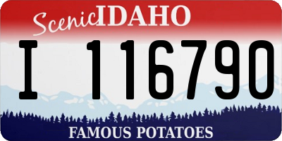 ID license plate I116790