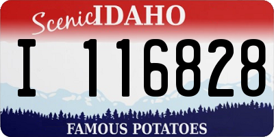 ID license plate I116828