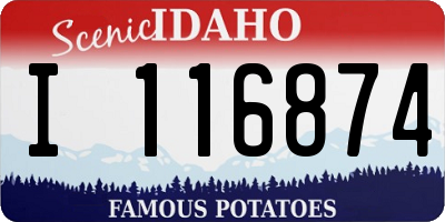ID license plate I116874