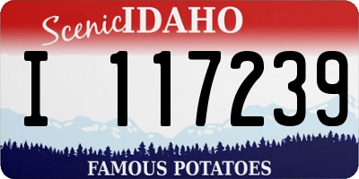 ID license plate I117239