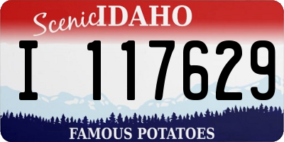 ID license plate I117629