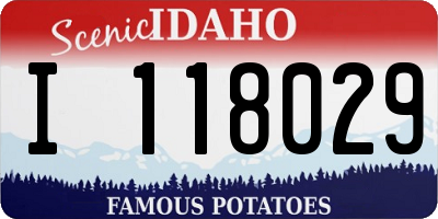 ID license plate I118029