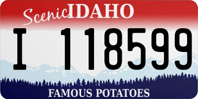 ID license plate I118599