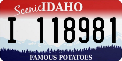 ID license plate I118981