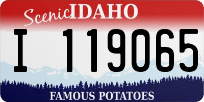ID license plate I119065