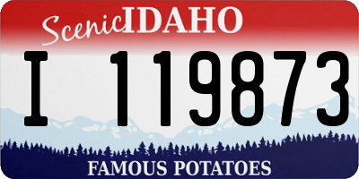 ID license plate I119873