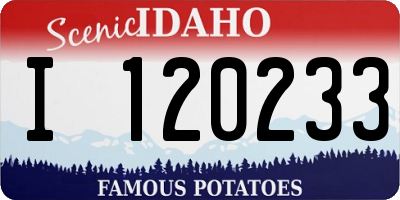 ID license plate I120233