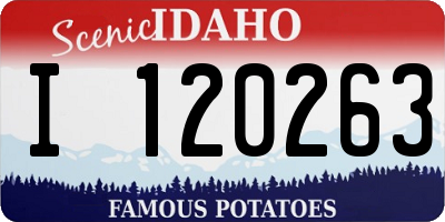 ID license plate I120263