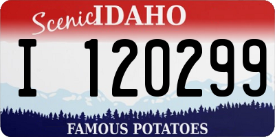 ID license plate I120299
