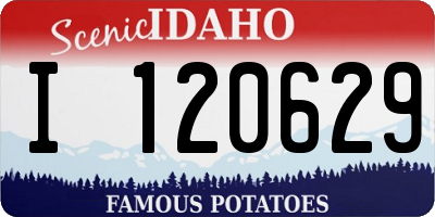 ID license plate I120629