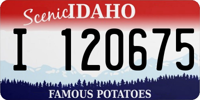 ID license plate I120675
