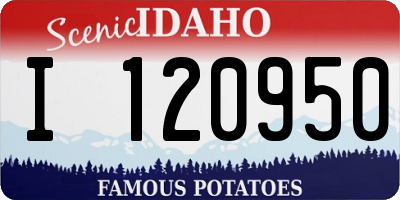 ID license plate I120950