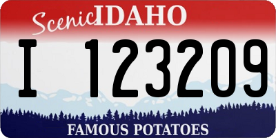 ID license plate I123209