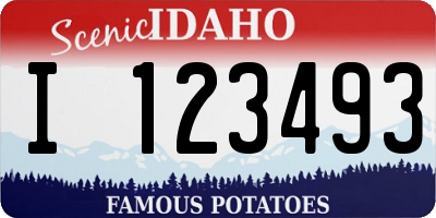 ID license plate I123493