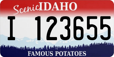 ID license plate I123655