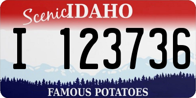 ID license plate I123736