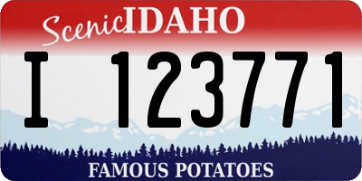 ID license plate I123771