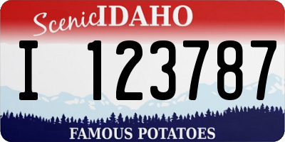 ID license plate I123787
