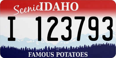 ID license plate I123793
