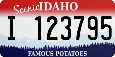 ID license plate I123795