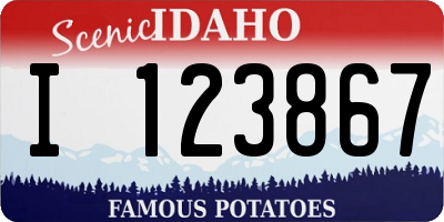 ID license plate I123867