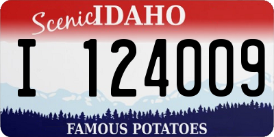 ID license plate I124009