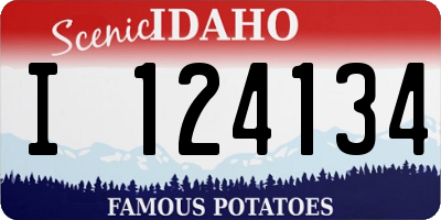 ID license plate I124134