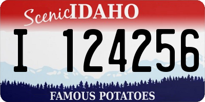 ID license plate I124256