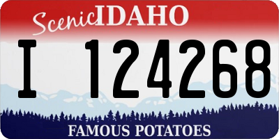 ID license plate I124268