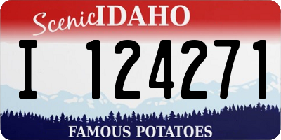 ID license plate I124271