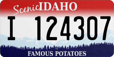 ID license plate I124307