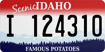 ID license plate I124310