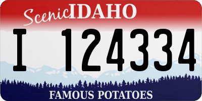 ID license plate I124334