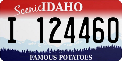ID license plate I124460