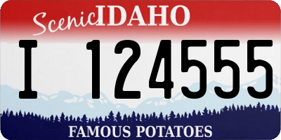 ID license plate I124555