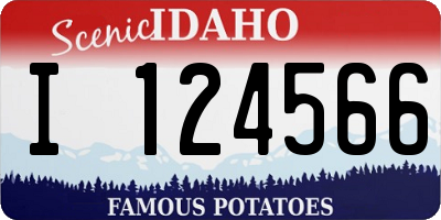 ID license plate I124566