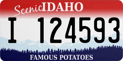 ID license plate I124593