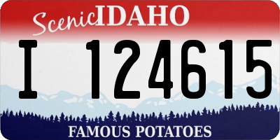 ID license plate I124615
