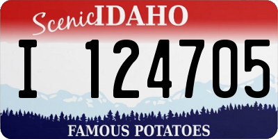 ID license plate I124705