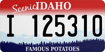 ID license plate I125310